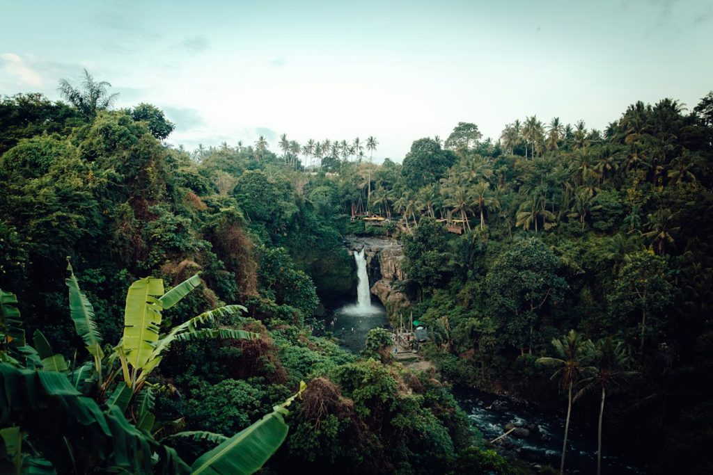 Waterfall surrounded by tropical forest
